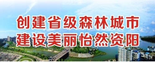 插穴电影创建省级森林城市 建设美丽怡然资阳