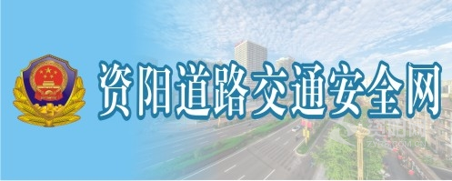 www.鸡巴逼逼资阳道路交通安全网